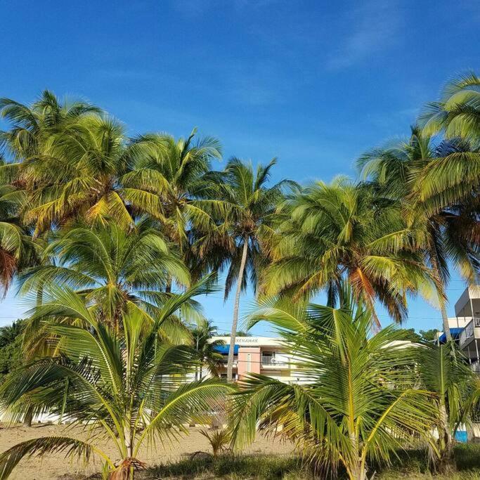 1St Floor, A/C Everywhere, Balcony With Beach View In لوكويللو المظهر الخارجي الصورة